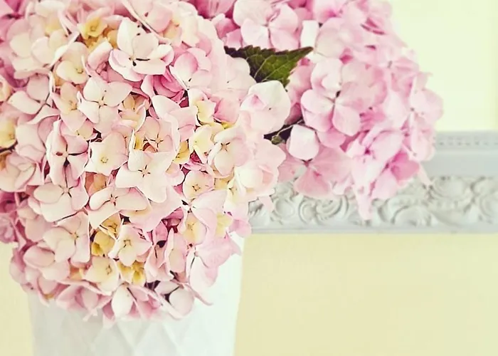 Cervantes Hotel Sanxenxo